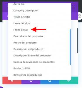 Opción Fecha Actual